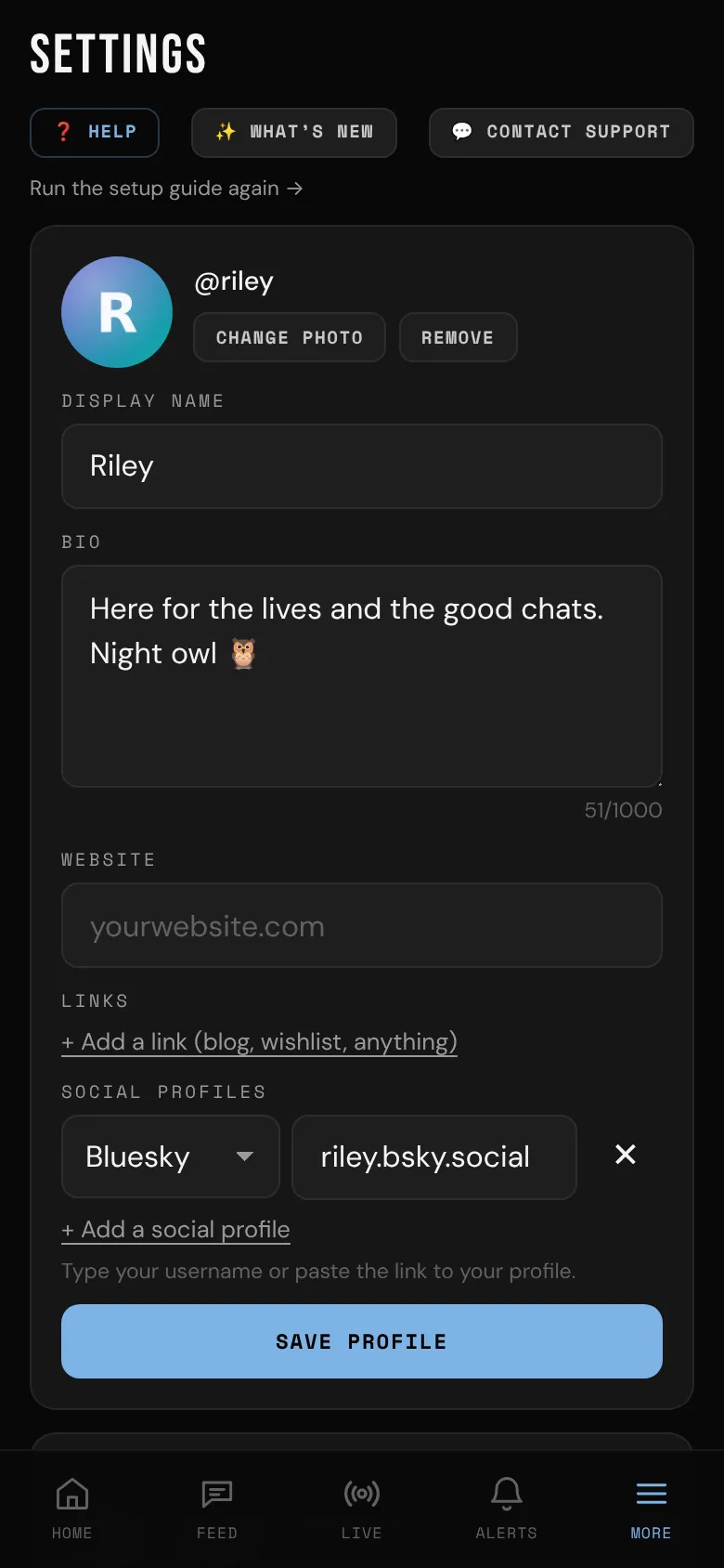 The top of Settings: photo, display name and bio