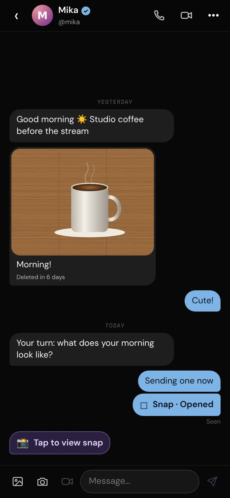 A chat with a photo and snaps
