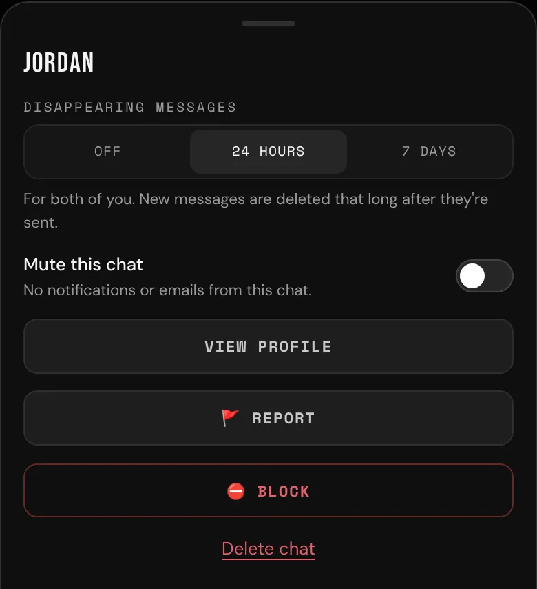 The chat options for Riley's chat with Jordan