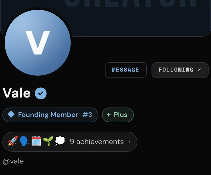 A profile with the achievements row under the name