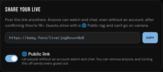 The Share sheet with the public link turned on
