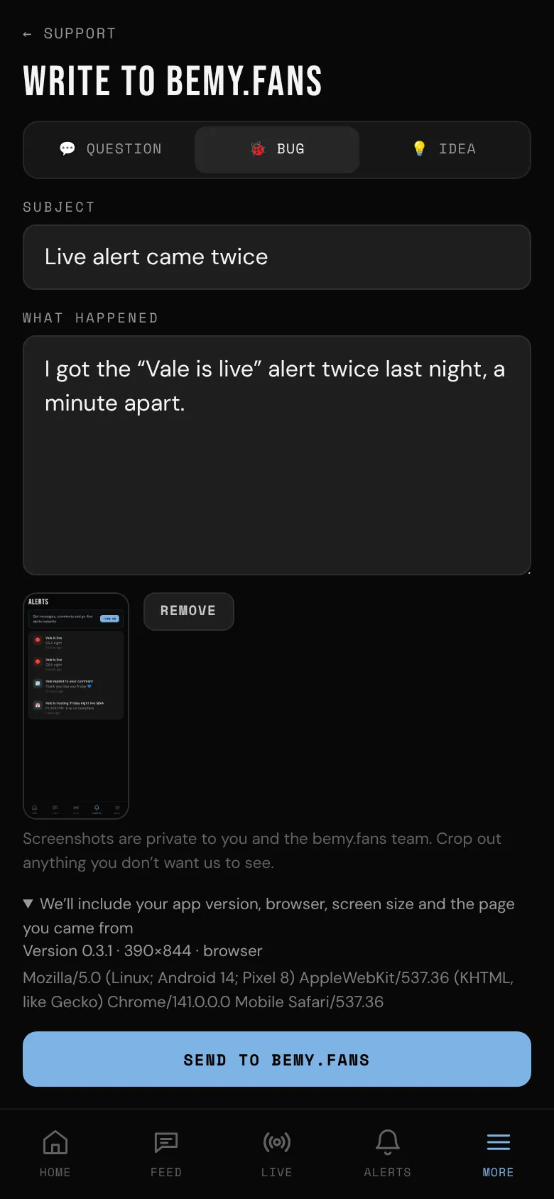 Reporting a bug with a screenshot